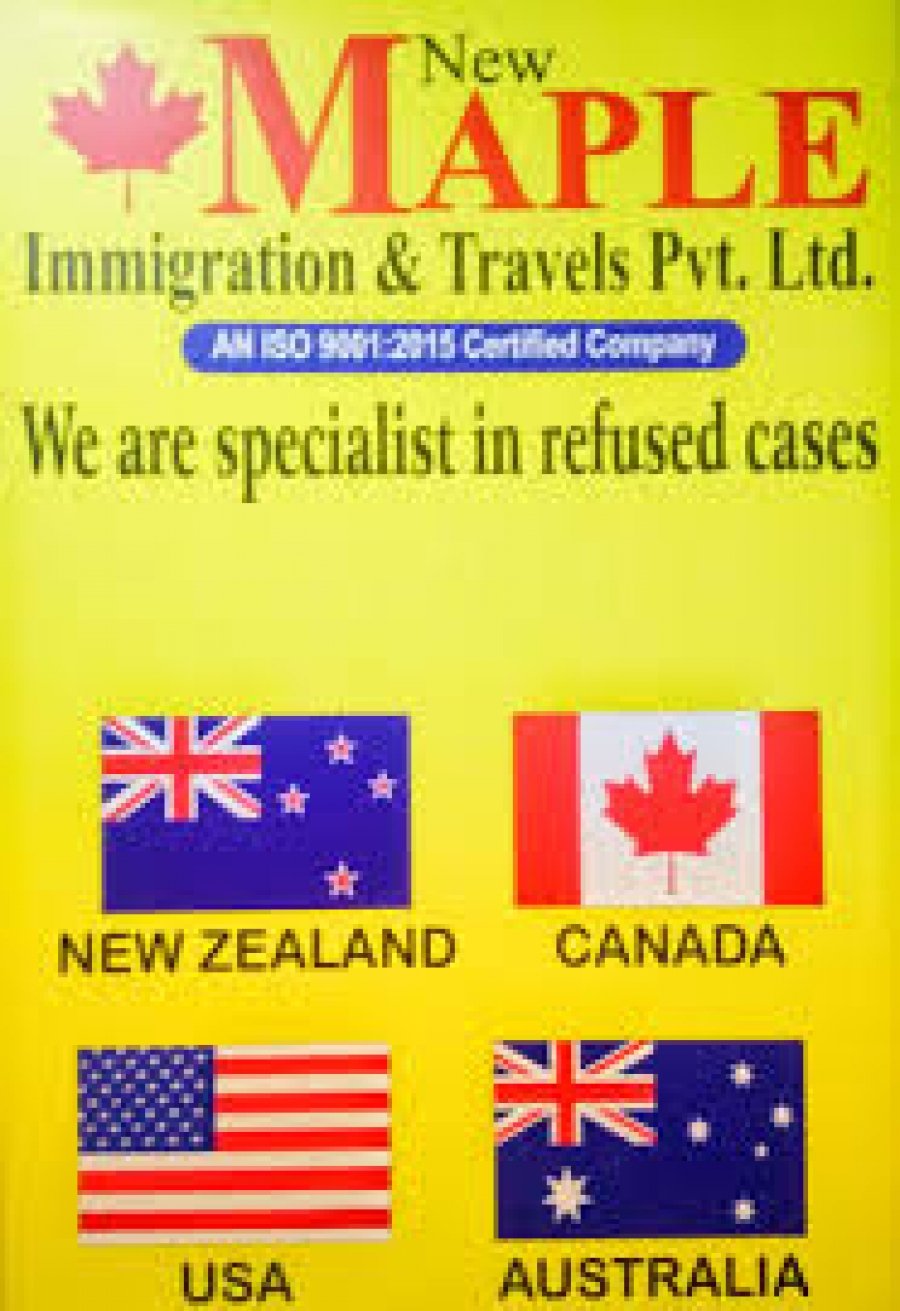 New maple Immigration & Travels Pvt Ltd